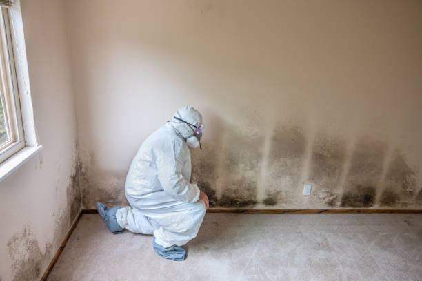 Crawl Space Mold Removal in Carthage, TN