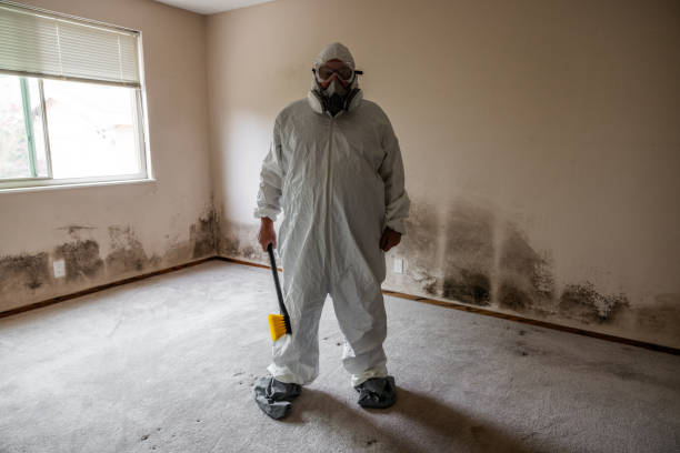 Best Mold Testing and Removal  in Carthage, TN