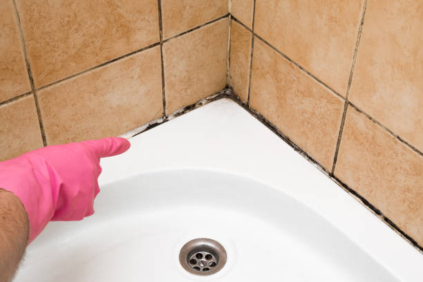 Best Commercial Mold Removal  in Carthage, TN